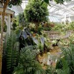 Nature Conservatory 01